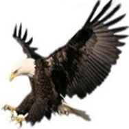 ������ ������� ��� ���