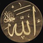 ������ ������� ���� ����