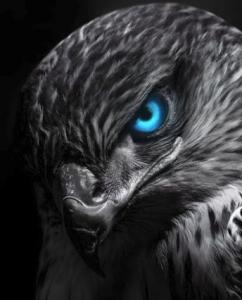 الصورة الرمزية احمد باشا HD