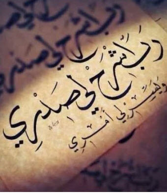 الصورة الرمزية م/أميــــر2006