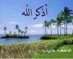 الصورة الرمزية عاطف حبيب