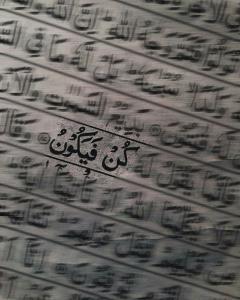 الصورة الرمزية Mohamed Elsadeq